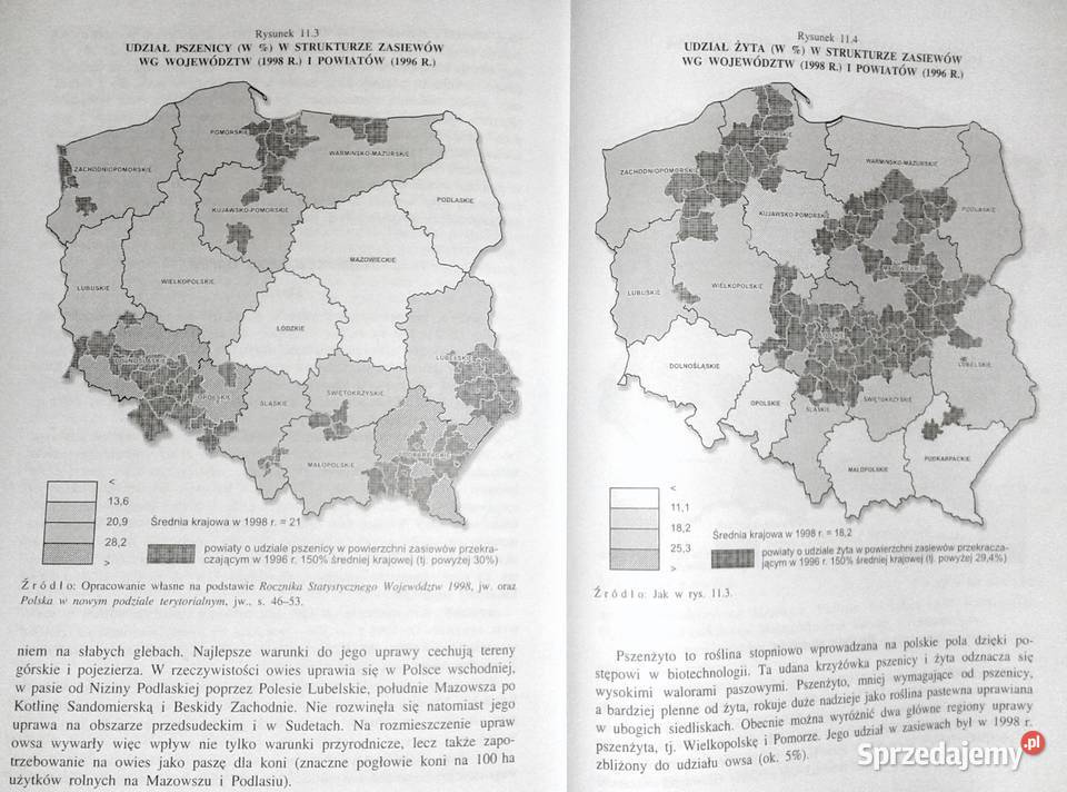 Repetytorium z geografii gospodarczej Irena Rok wydania 2001 Chełm