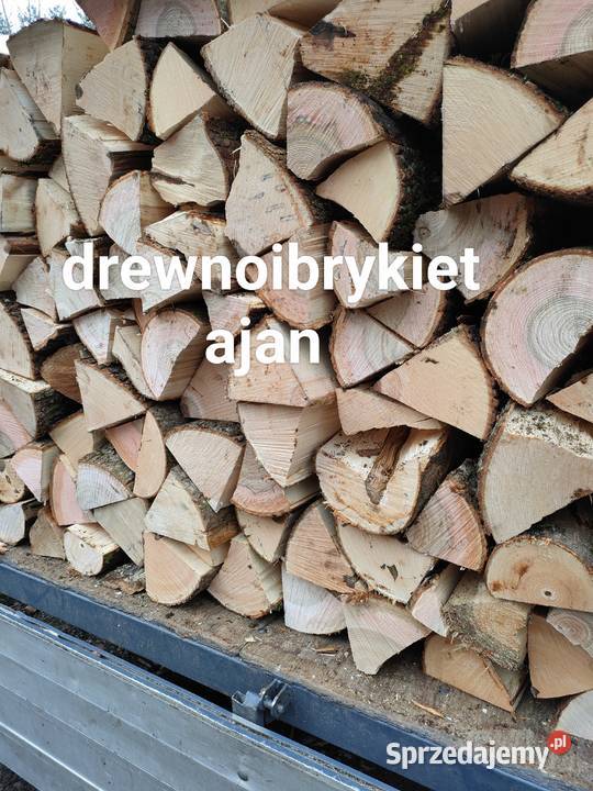 Drewno opałowe kominkowe olcha brykiet drzewny Supraśl sprzedam