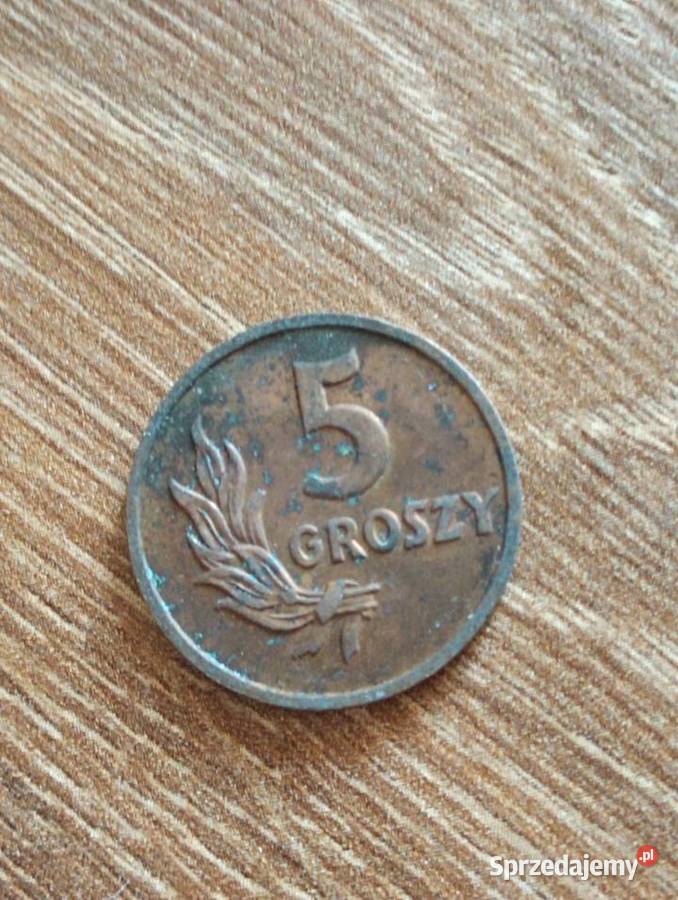 Sprzedam monete 5 groszy 1949 r bzm Chełm