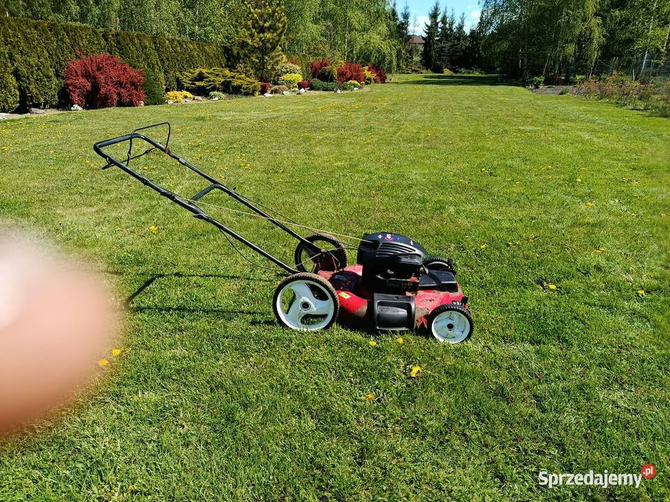 kosiarka spalinowa partner 56 Tarnobrzeg