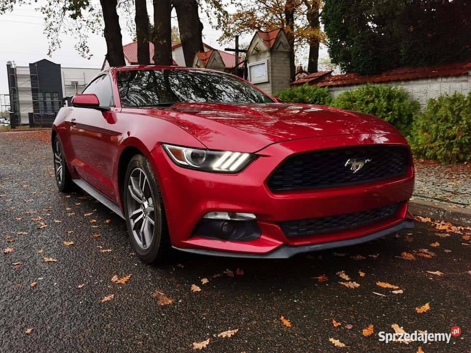 Mustang 37 V6 310 gniazdo AUX Bełchatów