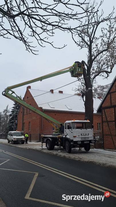 Sprzedam podnośnik p184h aktualny udt iresus