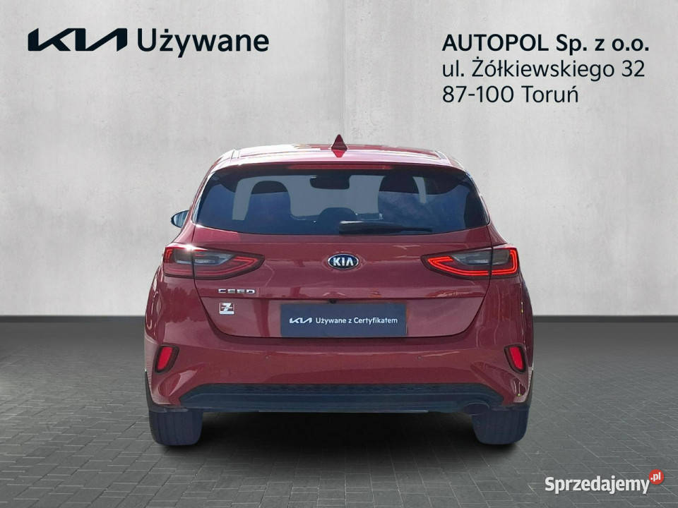 Kia Nowy Ceed Business Line14 TGDI światła do jazdy dziennej Toruń