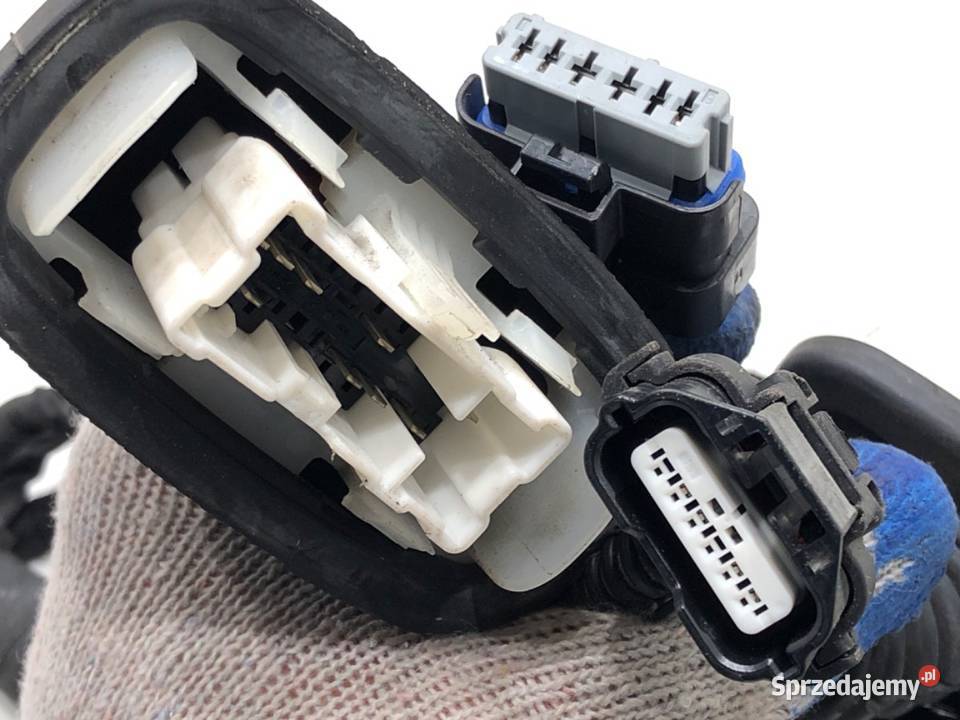 WIĄZKA DRZWI TYŁ PRAWY RENAULT CLIO V 241263888R osobowe Karoseria podkarpackie