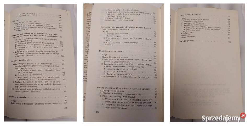 MOJA WIZJA ŚWIATA Pierre Teilhard de Chardin Książki naukowe i popularnonaukowe Hajnówka