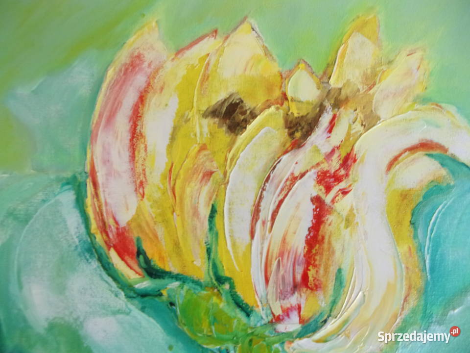 Obraz pieknych kolorowych kwiatów Olej na Warszawa