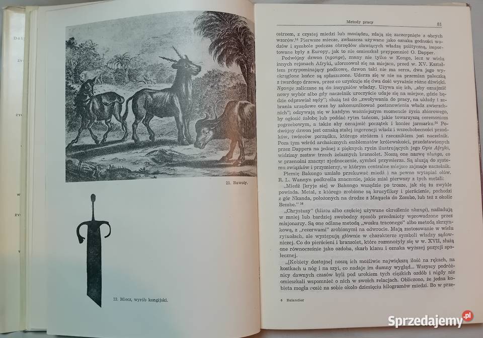 Georges Balandier Życie codzienne w państwie Koźminek