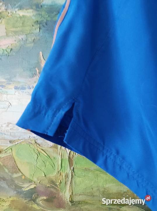 4F szorty spodenki męskie do biegania sportowe Rozmiar M świętokrzyskie Kielce