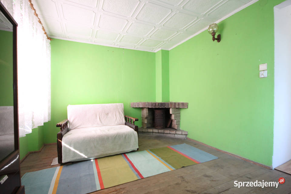 Zadbana działka ROD Ławica 146zł/m2