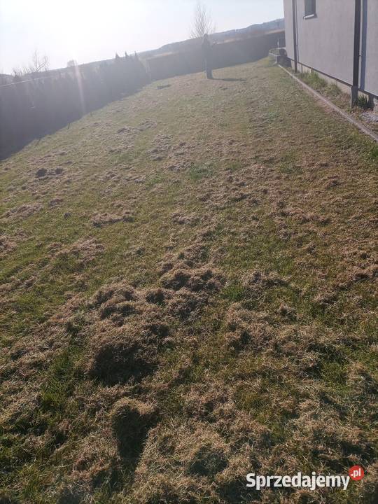 Wertykulacja trawników Pozostałe