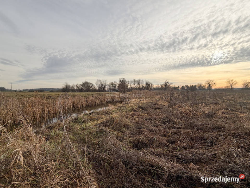 Działka rolna 084 ha Turka gmina Dorohusk sprzedam