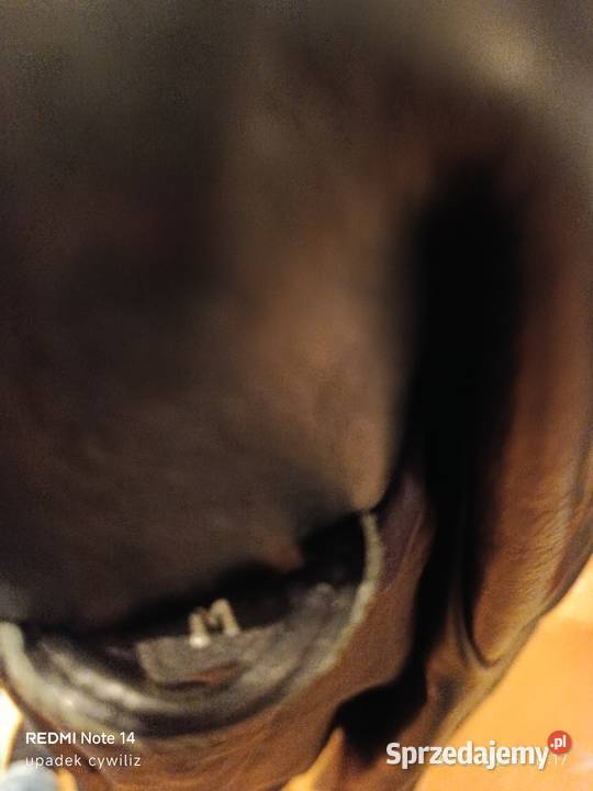 Kurtka skórzana śląskie Wodzisław Śląski