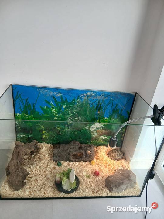 Żółw stepowy lądowy akwarium 40x80x51 i lampa Tarnobrzeg