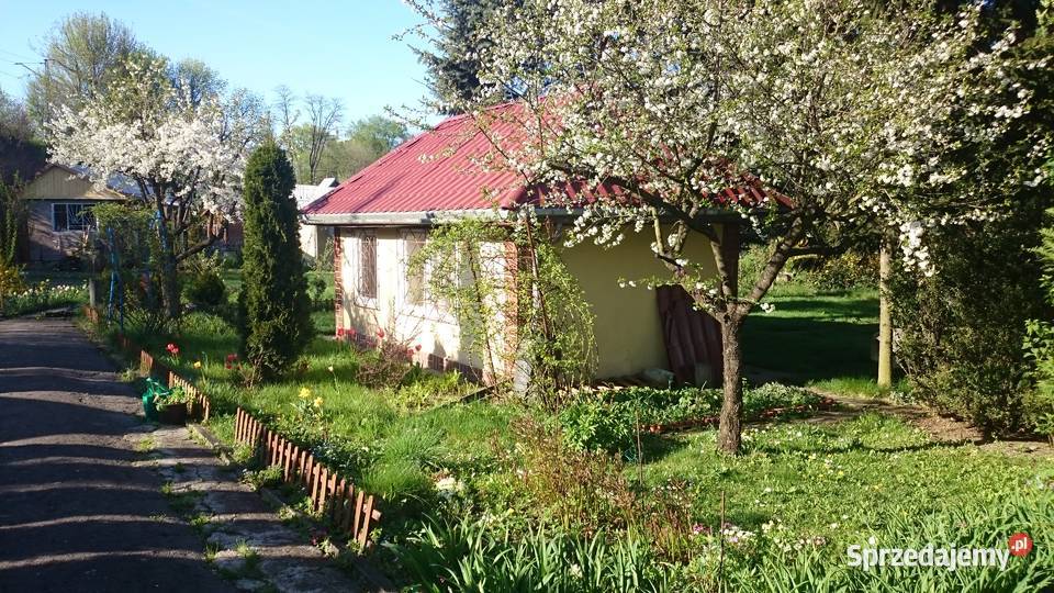 Działka rekreacyjna ROD Kraków Dąbie telefon Sprzedaż