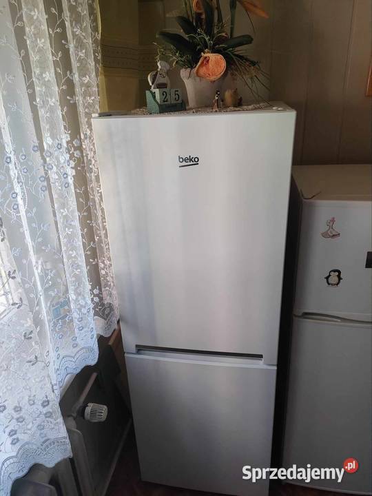 Lodówka Beko Leżajsk