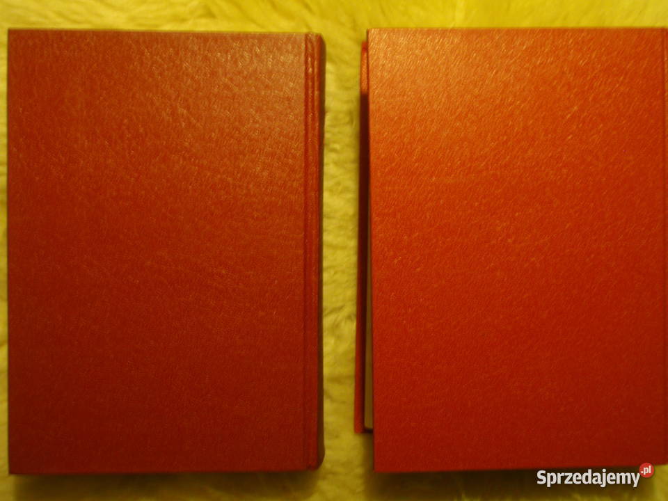 Podręczny słownik PolskoNiemiecki Niemiecko Książki do nauki języka obcego Kultura i Rozrywka Kraków