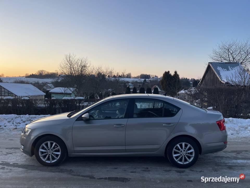 Skoda Octavia 20 TDI 150 automat DSG panorama immobilizer warmińsko-mazurskie Kętrzyn