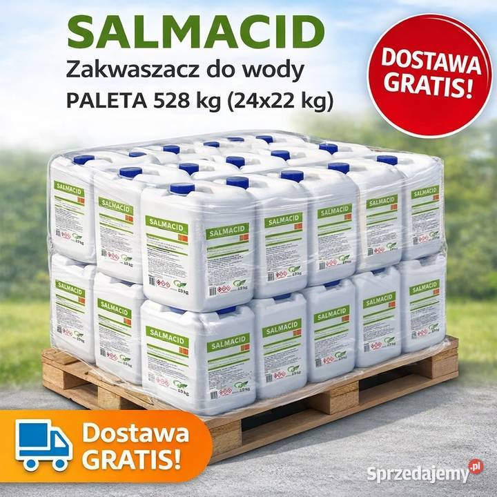 SALMACID zakwaszacz do wody paleta 528 24x22 warmińsko-mazurskie Olsztyn