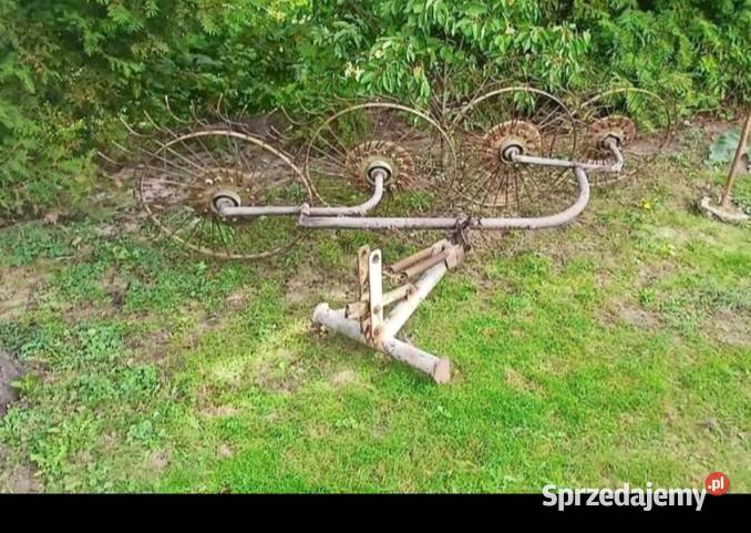 Zgrabiarka do fasoli Hrubieszów