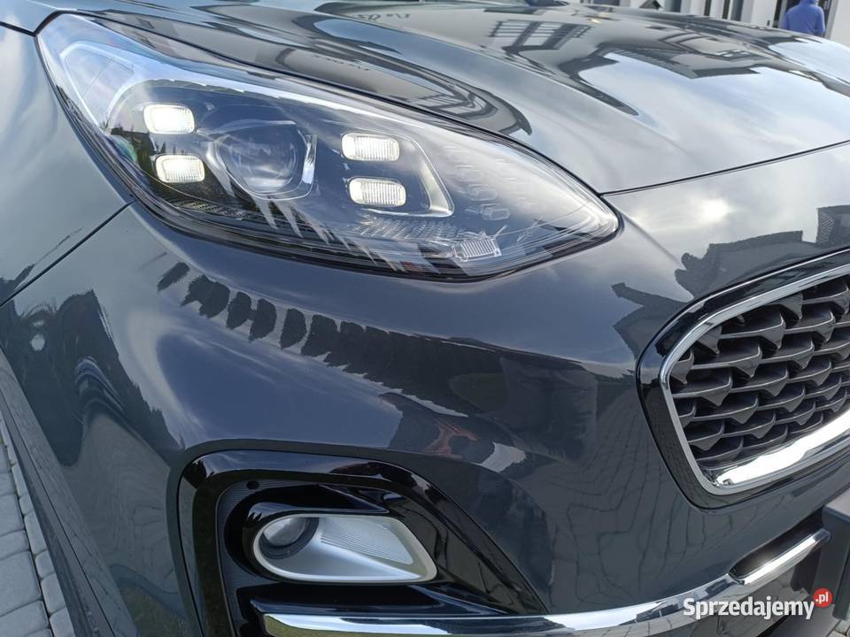 Kia Sportage IV 16 Bussines Line Plus 2019 16 podkarpackie