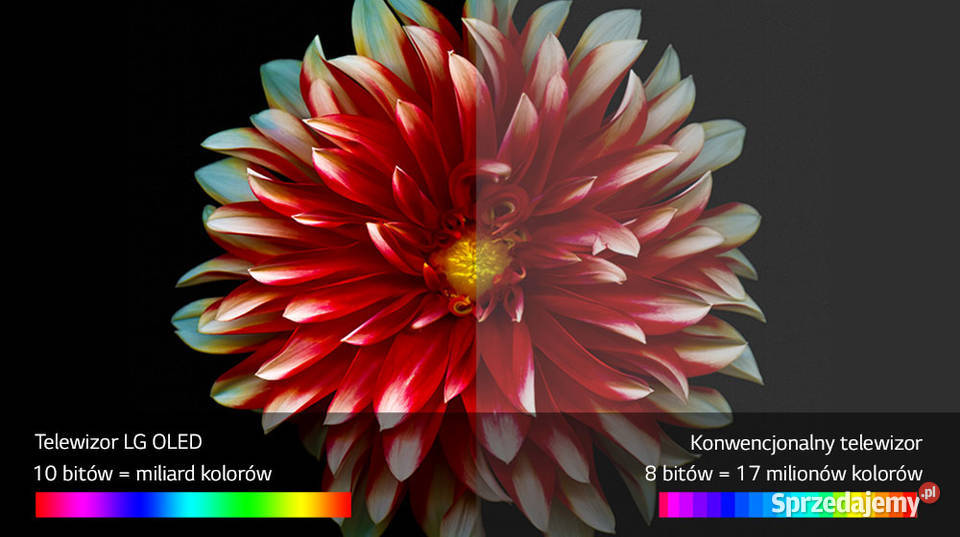 Telewizor Model LG OLED65B7V 120 HzGwarancja LED sprzedam