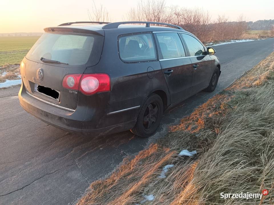 Tani wół roboczy Tarnawa Rzepińska
