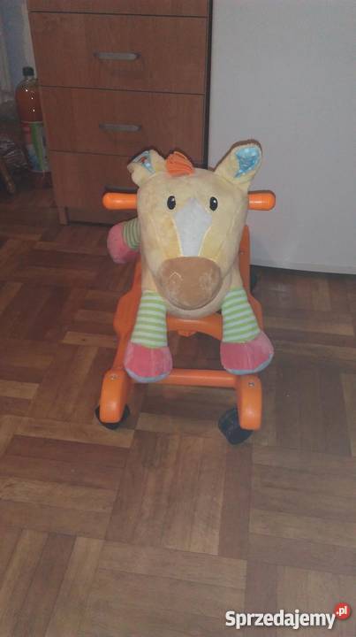 Kiddieland Safari Friends konik bujak na Ciechanów