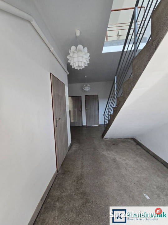 Lokal wynajmę Haczów 50m2