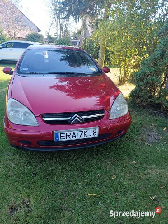 Tanio 1997cm3 łódzkie Góry Mokre