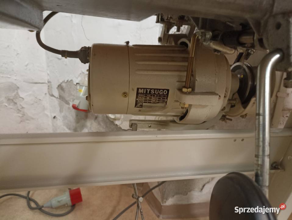 Stegnówka Yuki Warszawa