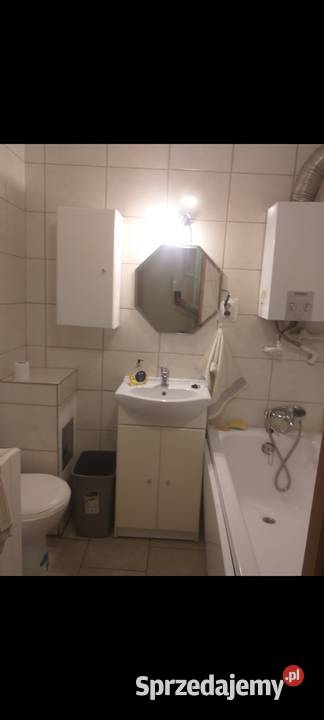Wynajem mieszkania Wynajem Sosnowiec sprzedam