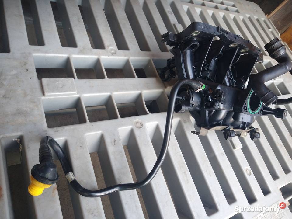 Kolektor SSący Dolotowy 55189565 Fiat Punto 2 12 osobowe Radziszów