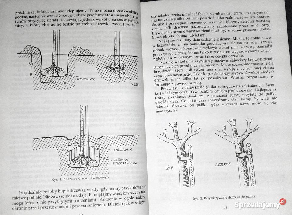 Zdrowy ogród Nina Grella miękka Chełm