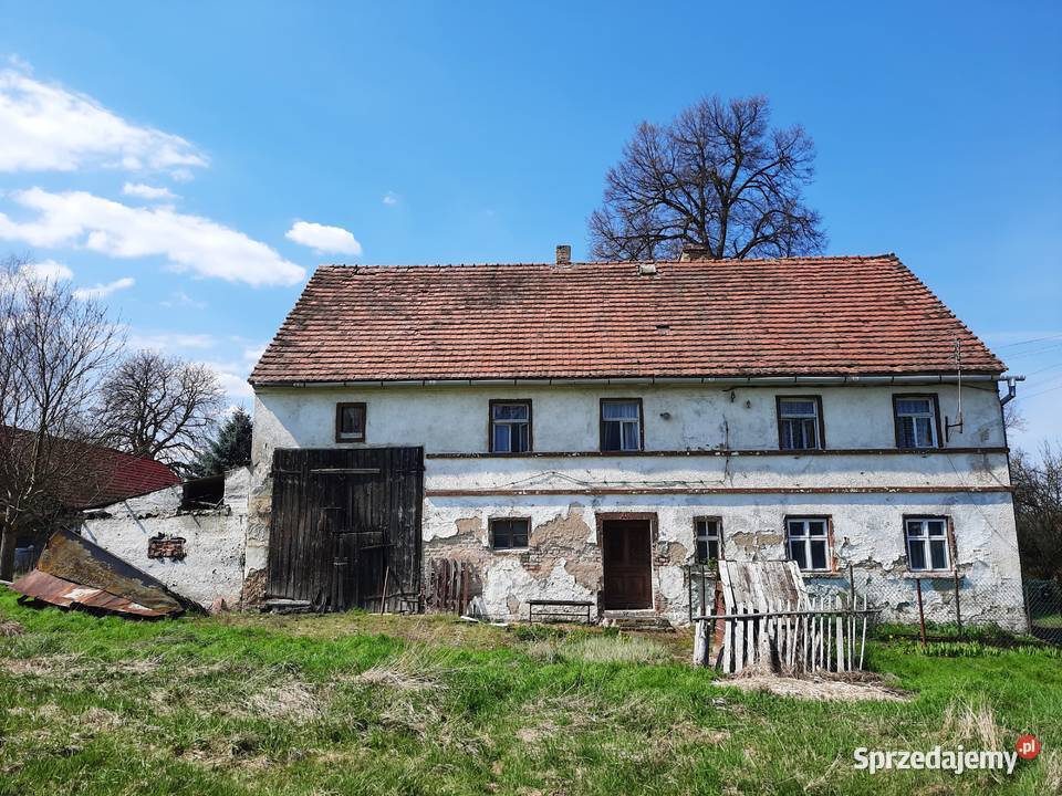 dom na sprzedaż w Olesznej Podgórskiej gmina Lubomierz bez p