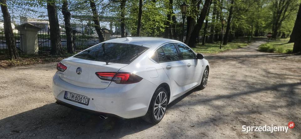 Opel insignia 2019 20turbo benzyna 270 automat podkarpackie Dębica