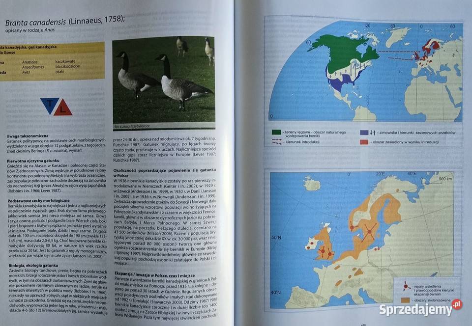 Gatunki obce w faunie Polski Instytut Ochrony zachodniopomorskie Koszalin