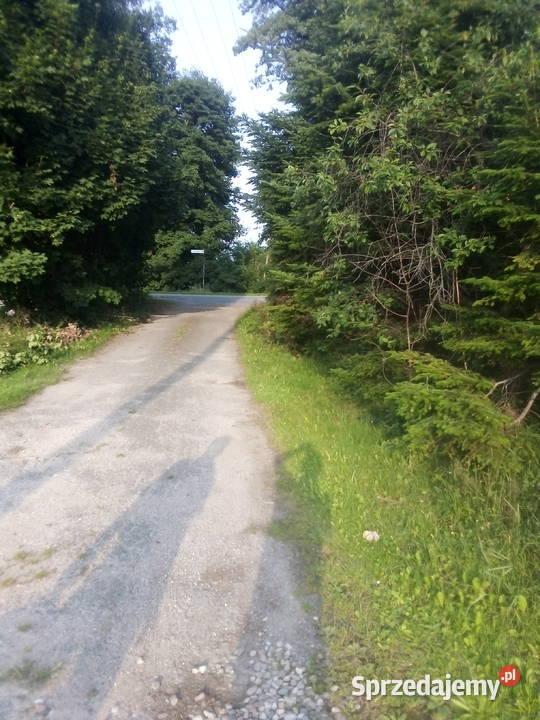 Działka w Barłominie k Luzina pomorskie Barłomino