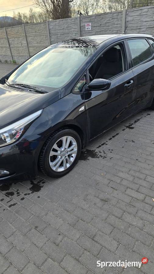 1 własciel serwis do konca 2015 dolnośląskie Wałbrzych