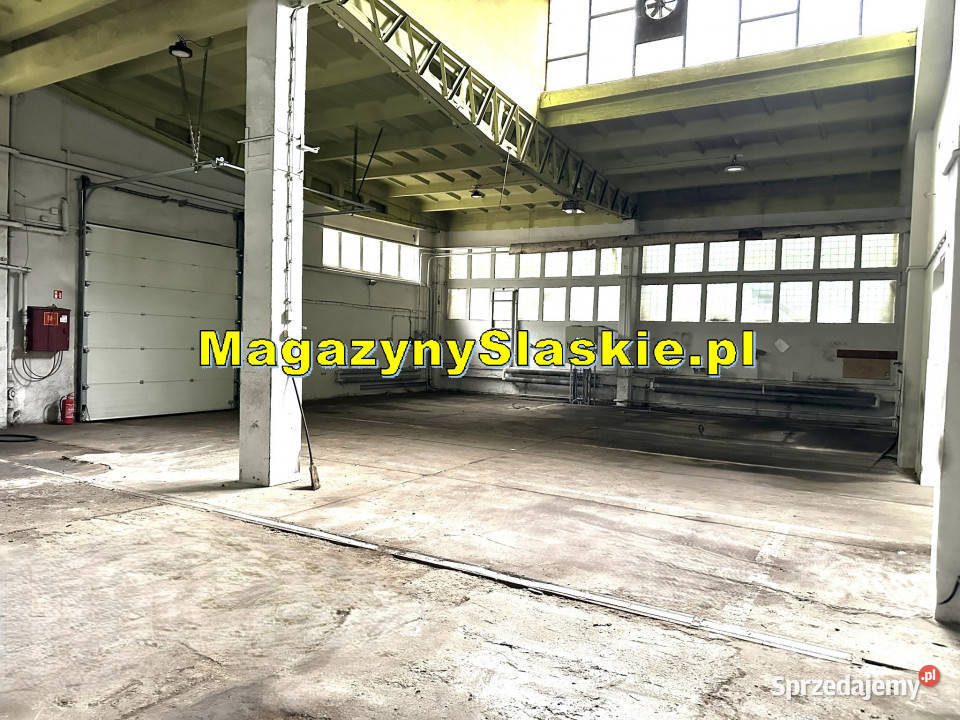 Hala do wynajęcia śląskie Zabrze DTŚ dojazd