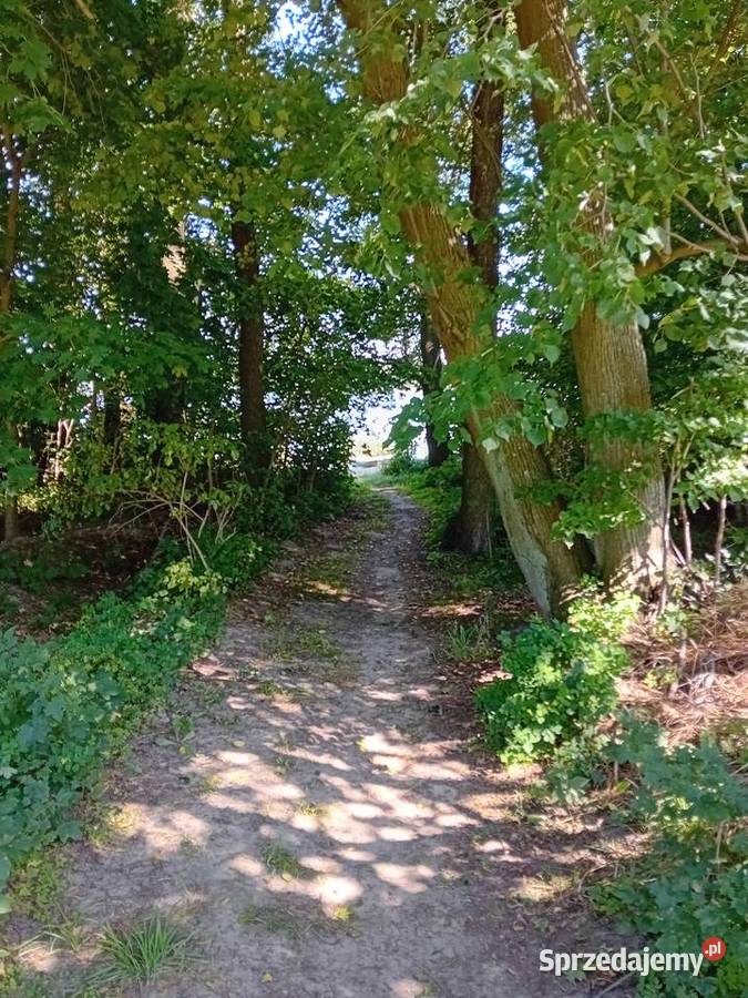 Wydzierżawię działki rekreacyjne kujawsko-pomorskie Laskowice