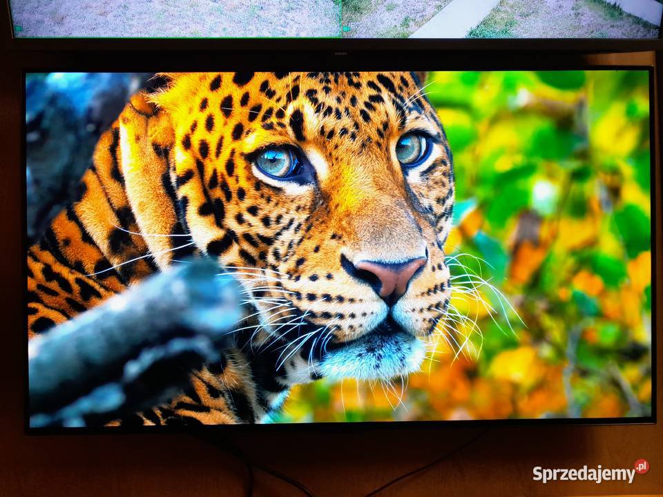 TV LG OLED 48 120Hz 4K UHD hdr Smart WIFI DVBT2 Karczew