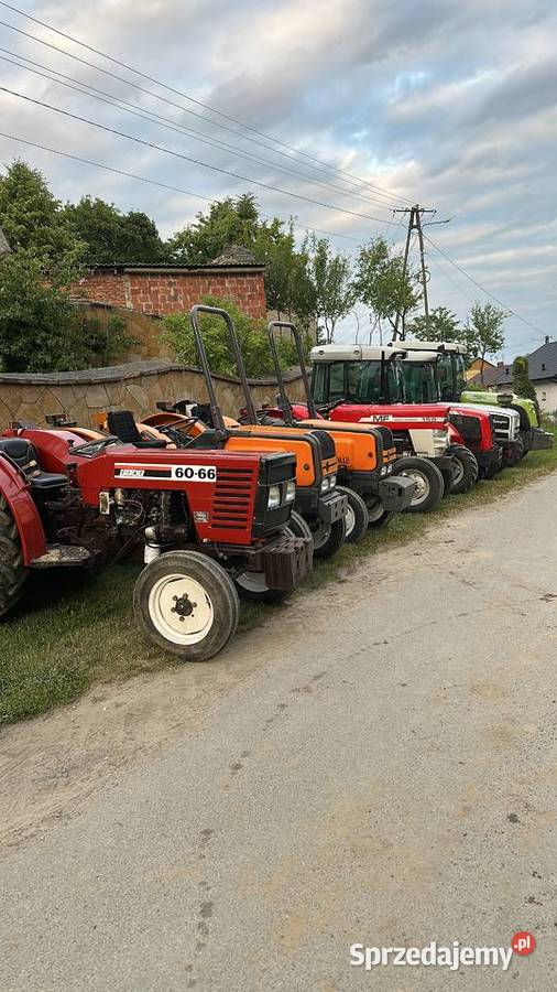 Massey Ferguson Renault Lamborghini sadowniczy