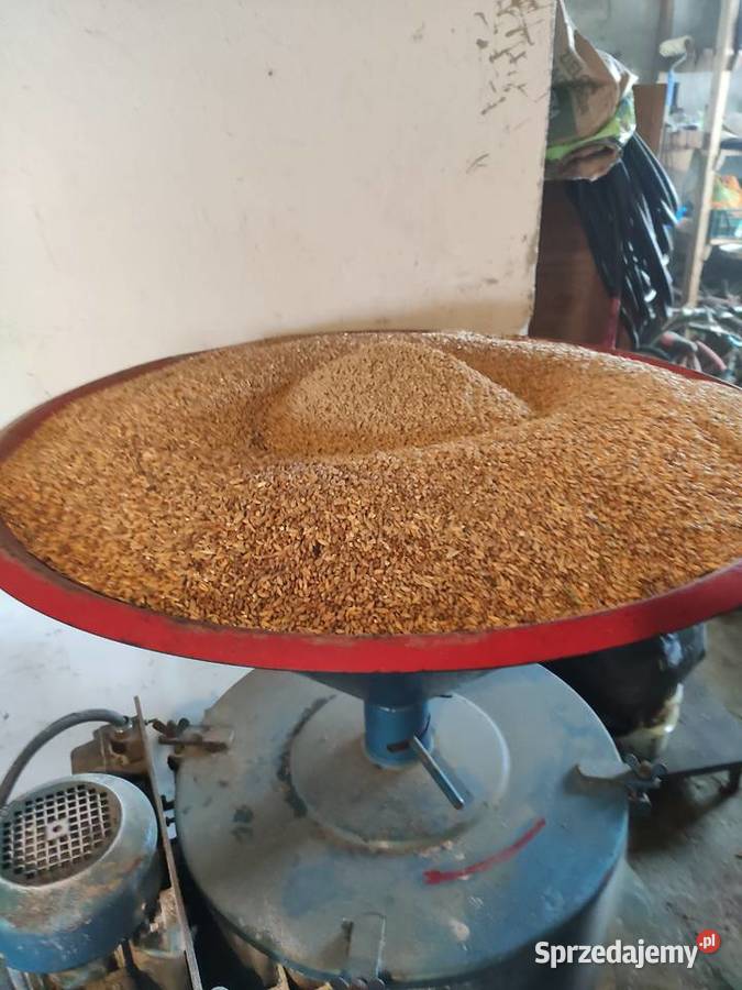 Zboże Pasza śruta ospa z przenzyta