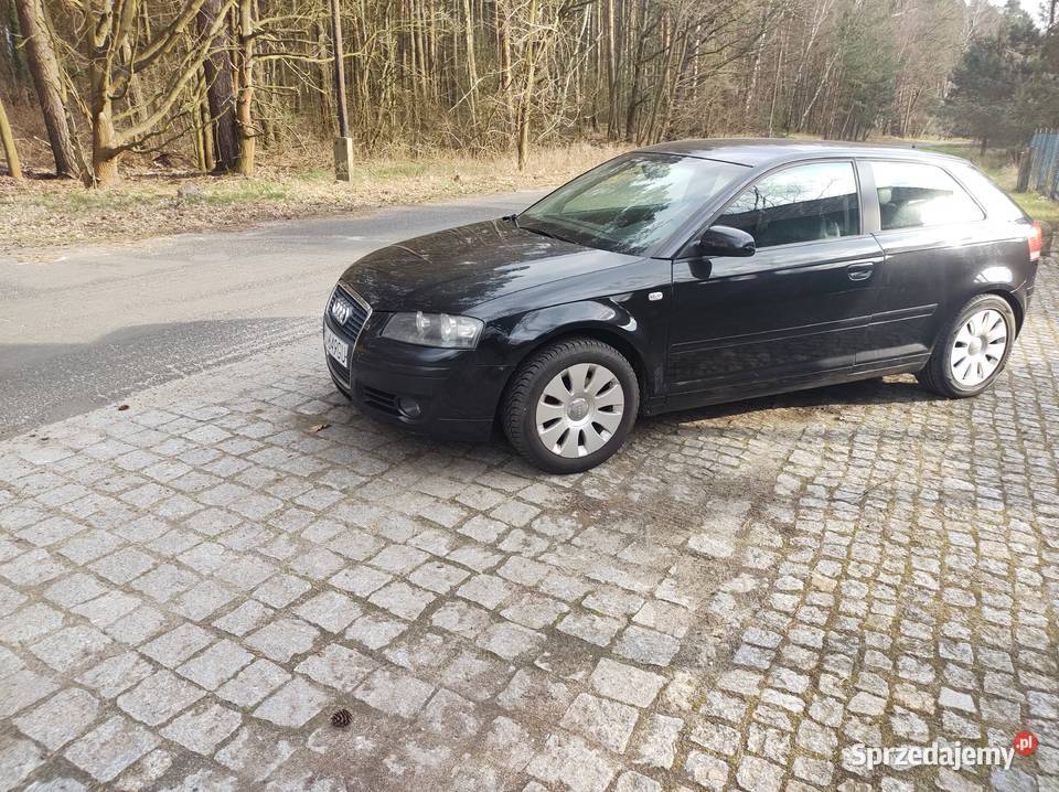 Sprzedam Audi A3 Benzyna lubuskie Zielona Góra