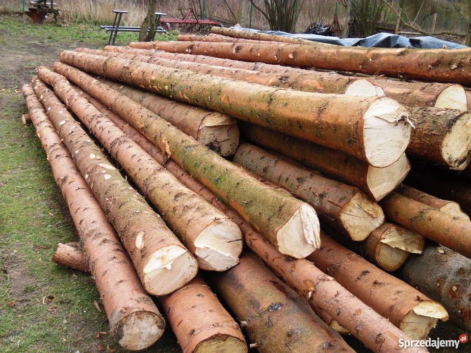 Drewno świerkowe Pozostałe dolnośląskie