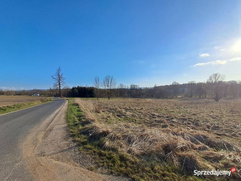 Działka budowlana w górach Sprzedaż Młyńsko