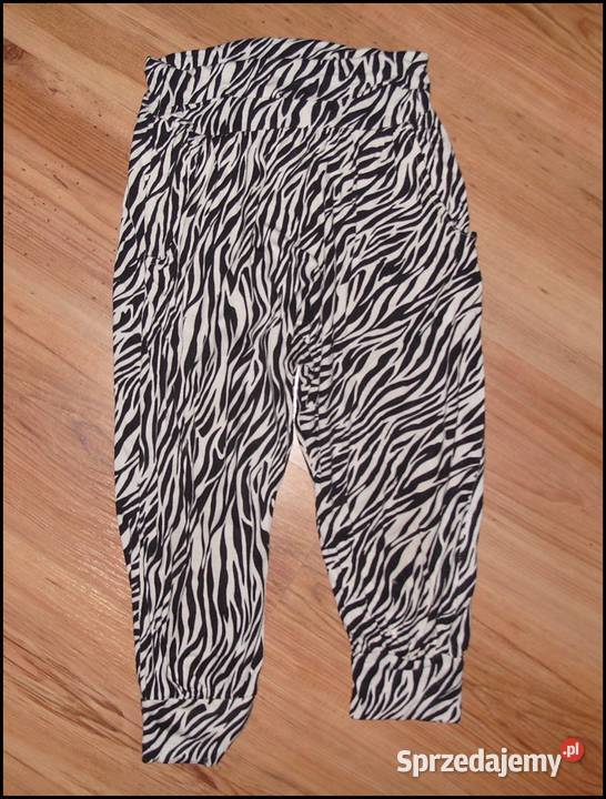 Baggy zebra r134146 Spodnie wielkopolskie Rawicz sprzedam