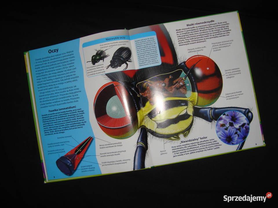 Świat Owadów album Natura z fotoopisem Tychy