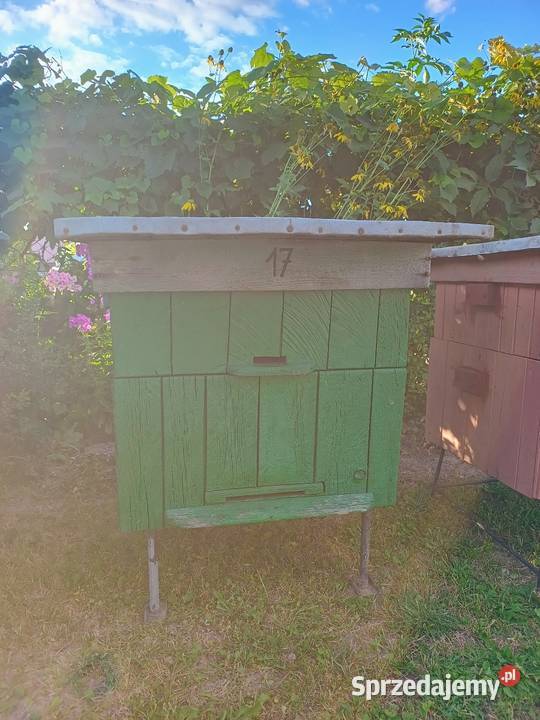 Ule wielkopolskie 12 ramkowe z pełną nadstawką Pszczelarstwo Siostrzytów