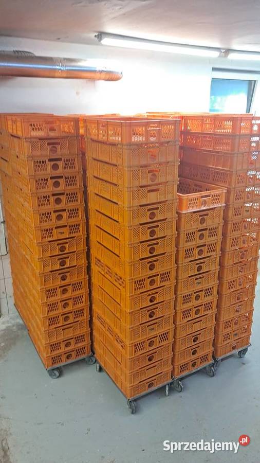 Kosze piekarnicze skrzynki piekarnicze 45x65x14 sprzedam